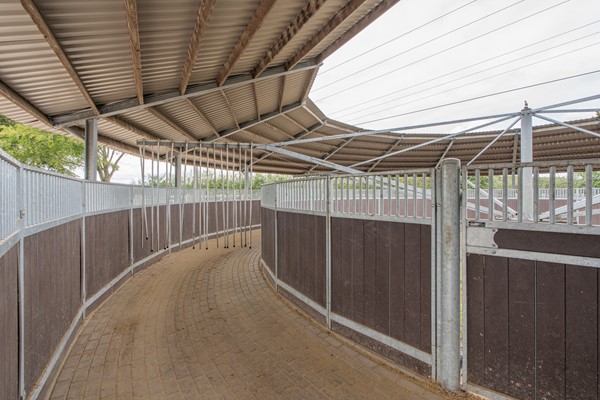 Medium property photo - Slenerweg 7, 7871 TG Klijndijk